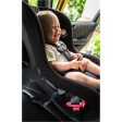 Taxi Baby Taxi-friendly locking clip Supply