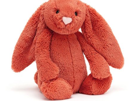 JellyCat Bashful Cinnamon Bunny - Medium H31cm For Discount